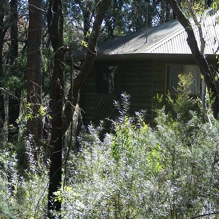 Fitzroy Falls Twin Falls Bush Cottages מראה חיצוני תמונה