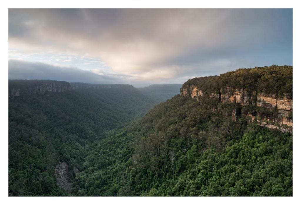 Fitzroy Falls Twin Falls Bush Cottages מראה חיצוני תמונה