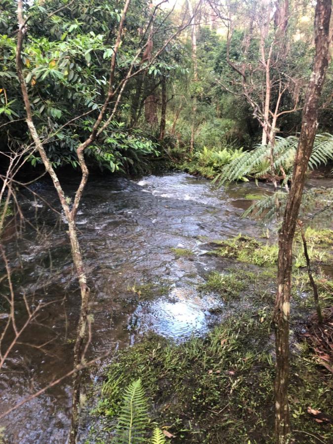 Fitzroy Falls Twin Falls Bush Cottages מראה חיצוני תמונה