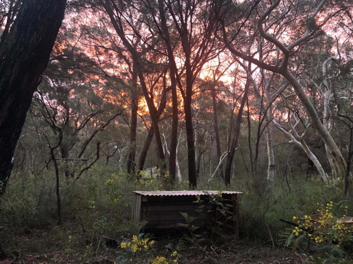 Fitzroy Falls Twin Falls Bush Cottages מראה חיצוני תמונה