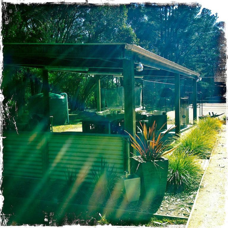 Fitzroy Falls Twin Falls Bush Cottages חדר תמונה