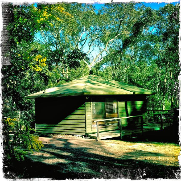 Fitzroy Falls Twin Falls Bush Cottages חדר תמונה
