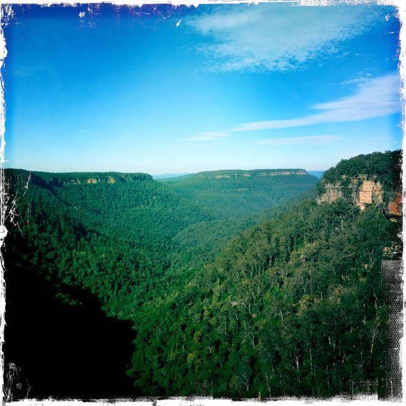 Fitzroy Falls Twin Falls Bush Cottages חדר תמונה