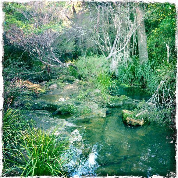 Fitzroy Falls Twin Falls Bush Cottages חדר תמונה