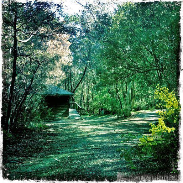 Fitzroy Falls Twin Falls Bush Cottages חדר תמונה