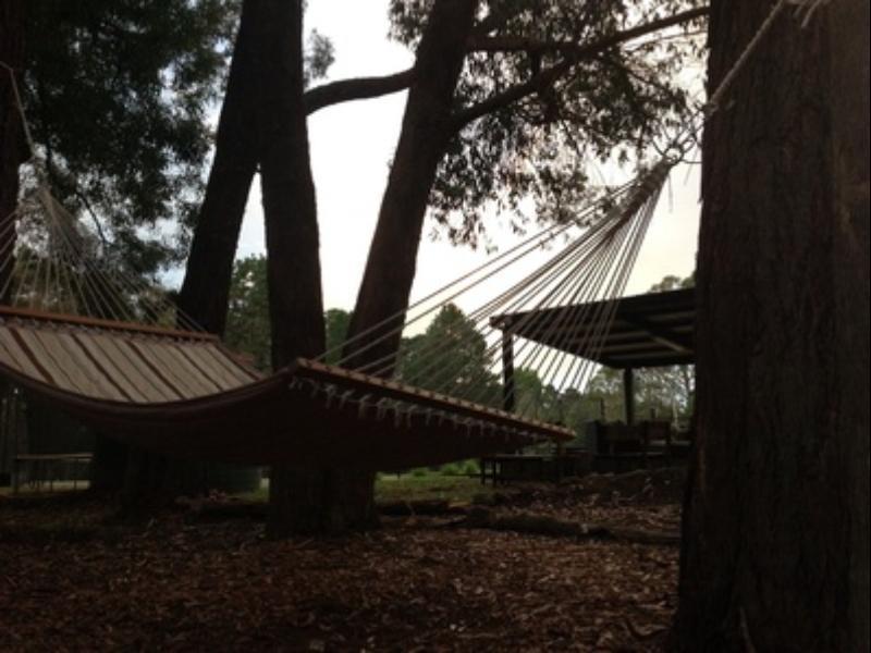 Fitzroy Falls Twin Falls Bush Cottages מראה חיצוני תמונה