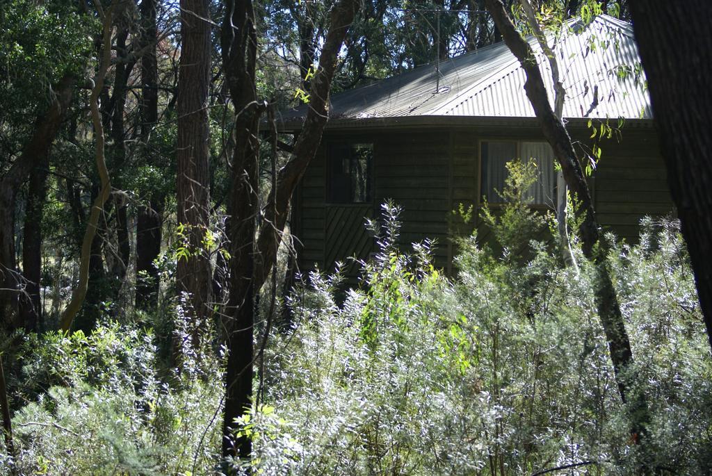 Fitzroy Falls Twin Falls Bush Cottages מראה חיצוני תמונה